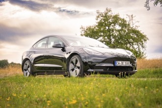 Black car on country road with tree in background under cloudy sky, Deer E-Carsharing, Tesla Model