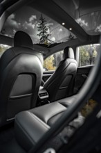 Car interior with leather seats and view of trees through skylights, Deer e-car sharing, Tesla