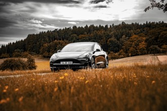 Black car in a meadow against a wooded background under partly cloudy sky, Deer E-Carsharing, Tesla