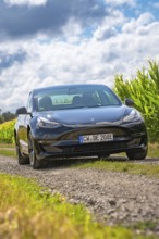 Black car driving along a dirt road flanked by green fields under a cloudy sky, Deer E- car