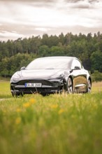 Black car on a country road with a view of green fields and forest, Deer E-Carsharing, Tesla Model