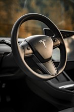 Close-up of a Tesla steering wheel in a modern interior, Deer e-Carsharing, Tesla Model 3, Calw,