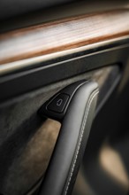Close-up of a door handle in a car interior with wooden accent, Deer e-Carsharing, Tesla Model 3,