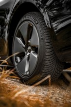 Close-up of a black car tire on a gravel path with grass in the foreground, Deer e-car sharing,