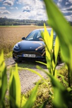 Black car hidden behind plants with a view of vast fields and blue sky, Deer E-Carsharing, Tesla