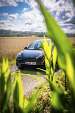 Black car behind green plants in rural area under blue sky, Deer E-Carsharing, Tesla Model 3, Calw,