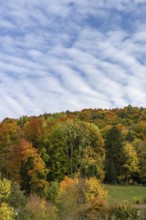 Herbstlicher Mischwald, Happurg, Middle Franconia, Bavaria, Germany