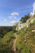 Castle ruins of Hohengundelfingen, ruins of a medieval hilltop castle, former headquarters of the