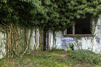 Grafity on an old house wall with ivy, dilapidated plant of a former agricultural production