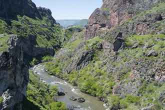A river flows through a narrow green gorge with steep rocky slopes, Kura River, Gorge near Vardzia,