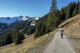 Female hiker on high-altitude hiking trail from Bolsterlanger Horn to Riedberger Horn, back