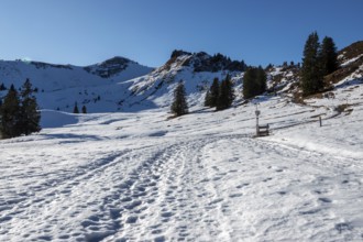 High-altitude hiking trail from Bolsterlanger Horn to Riedberger Horn, snow-covered, behind