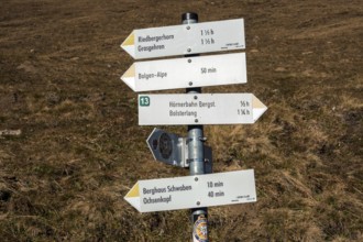Hiking trail on the high-altitude hiking trail from Bolsterlanger Horn to Riedberger Horn,