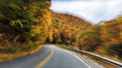 Curvy country road, downhill, autumn leaves, Indian summer, traveling, symbolic photo, zoom effect,