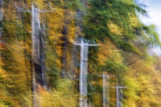 Power line poles, colorful autumn leaves, Indian summer, smudge effect, blur, Massachusetts, New