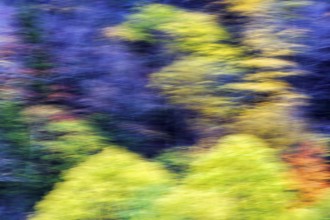 Autumn leaves, Indian summer, smudge effect, blur, Massachusetts, New England, USA