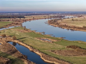 The Elbe in the Elbe floodplain near Bleckede in the Elbe River Landscape Biosphere Reserve on a