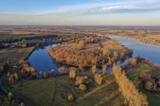 The Elbe in the Elbe floodplain near Bleckede, Alt Garge in the Elbe River Landscape Biosphere