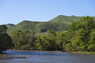 A river surrounded by green hills and trees, under a blue sky, Kura river near Aspindza,
