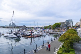 Senior couple strolling along a pedestrian walkway beside a marina, surrounded by yachts and
