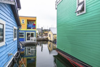 Fisherman's wharf park in victoria, british columbia, features vibrant floating homes reflecting in