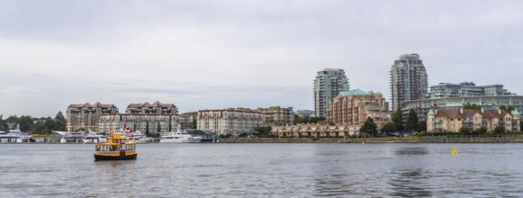 Yellow water taxi sailing in victoria, british columbia inner harbor with cityscape, condominiums,