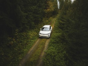 A white Volkswagen photographed from above on a green forest path, VW ID4 electric car, Deer