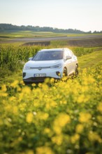 White car drives through a green field with yellow flowers in summer, VW ID4 electric car, Deer