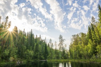 Idyllic forest landscape with calm lake surrounded by tall trees under a blue, slightly cloudy sky,