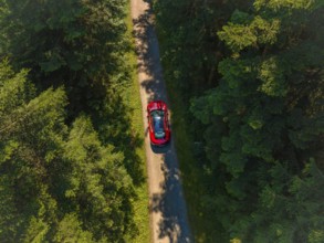 Red car driving on a narrow road through a dense forest in sunny weather, Porsche Taycan, Deer