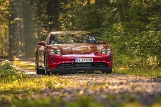 Red car on a forest path surrounded by trees in sunlight, Porsche Taycan, Deer Carsharing, Calw,