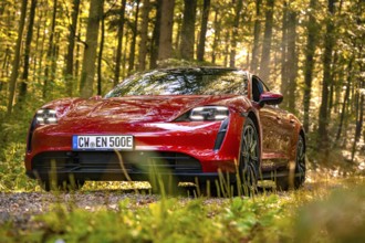 Red car in the forest, sun rays shining through the trees, sporty design, Porsche Taycan, deer car