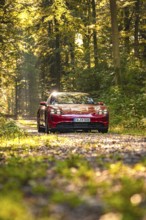 Red car on a forest path in sunlight, surrounded by autumnal nature, Porsche Taycan, Deer