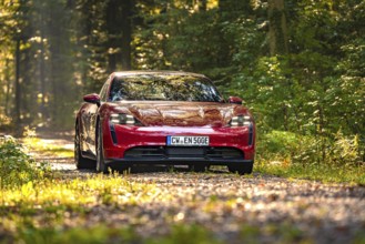Red car on a forest road, illuminated by sunlight, Porsche Taycan, Deer Carsharing, Calw, Germany