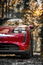 Red car in the forest with an autumnal atmosphere and modern headlights, Porsche Taycan, deer car