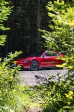 Red car in the forest surrounded by trees and shrubs, Porsche Taycan, deer car sharing. Calw,