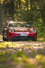 Red car in a sunny forest with green leaves and license plate, Porsche Taycan, deer car sharing.