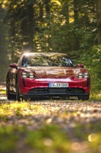 Red car in a forest with sunlight and green ambiance, Porsche Taycan, deer car sharing. Calw,