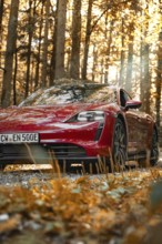 Red car in autumn forest with sunbeams on the license plate, Porsche Taycan, deer car sharing.