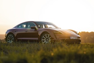 Red car parked at sunset in a field with golden light, Porsche Taycan, deer car sharing. Calw,
