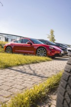 A red sports car in a parking lot in the sun viewed from a low perspective, Porsche Taycan, Deer
