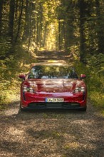 Red car on a secluded forest path surrounded by green trees and soft sunlight, Porsche Taycan, deer