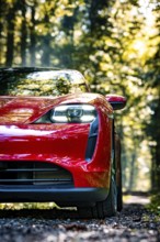 Red car in the summer forest with green leaves and modern design, Porsche Taycan, deer car sharing.