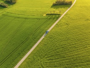 Sunlit landscape with car on lonely country road, ID3 VW, deer car sharing. Calw, Germany