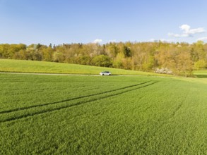 Car on country road surrounded by green fields under clear sky, ID3 VW, deer car sharing. Calw,
