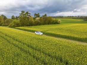 Car driving on a road through yellow fields under a cloudy sky, ID3 VW, deer car sharing. Calw,