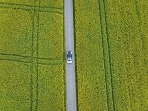 Aerial view of a car on a road between large fields, ID3 VW, deer car sharing. Calw, Germany