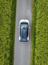 Top view of a car driving on a road through dense flower fields, ID3 VW, deer car sharing. Calw,
