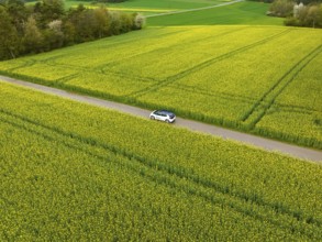 White car drives on a long road through extensive yellow fields in quiet surroundings, ID3 VW, deer