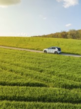 Car on a road between green fields, row of trees in the background, ID3 VW, deer car sharing. Calw,
